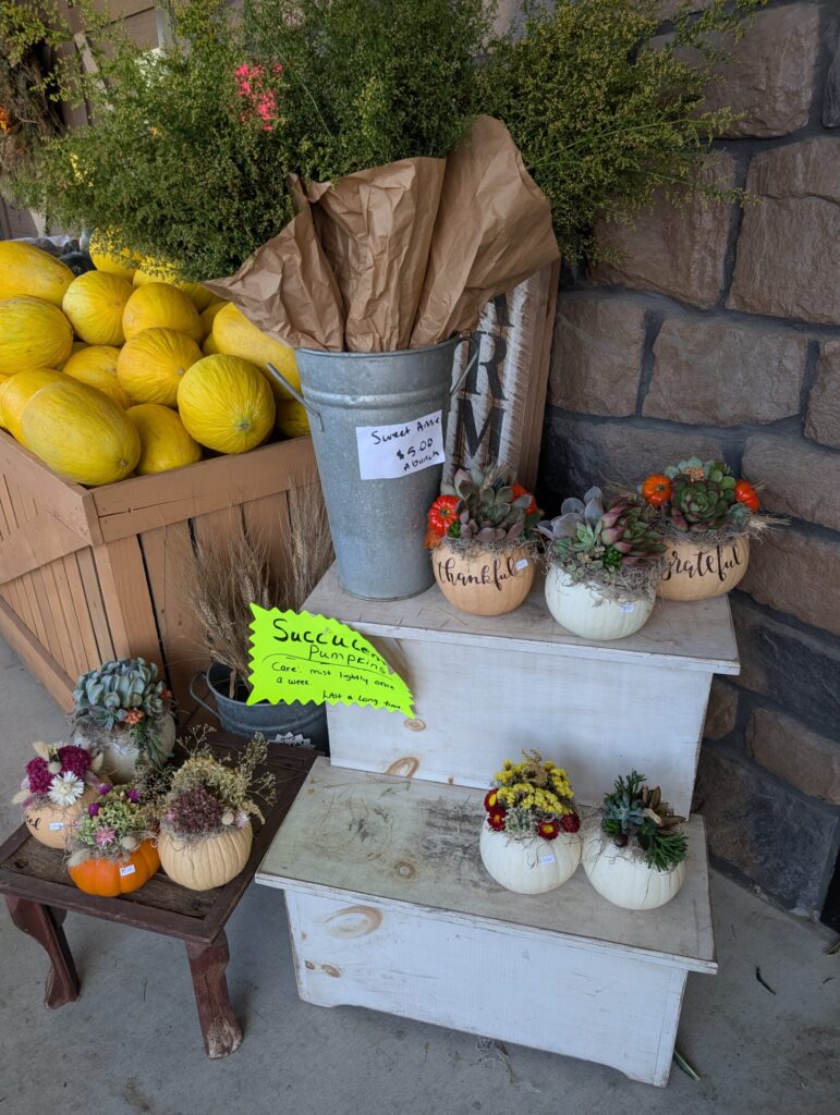 Reiffs Farm Market Greenhouse 23