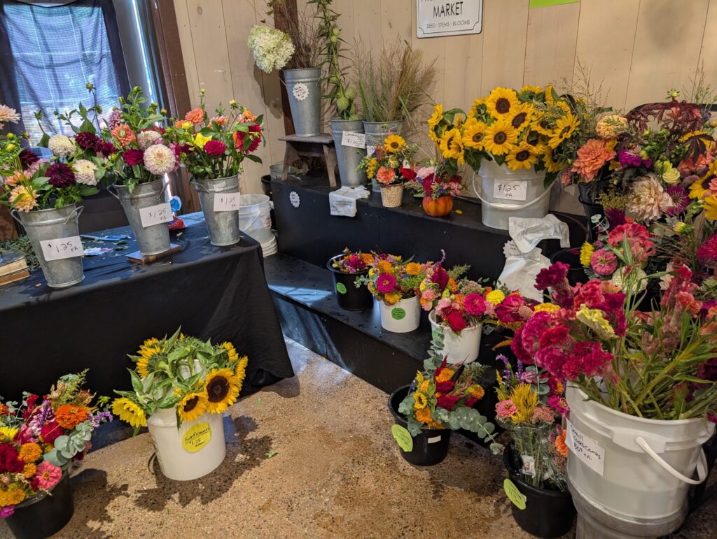 Reiffs Farm Market Greenhouse 4