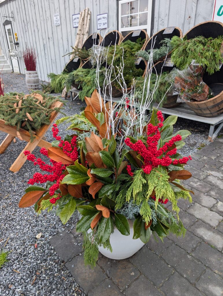 Briar Rose Greenhouse Fall 13