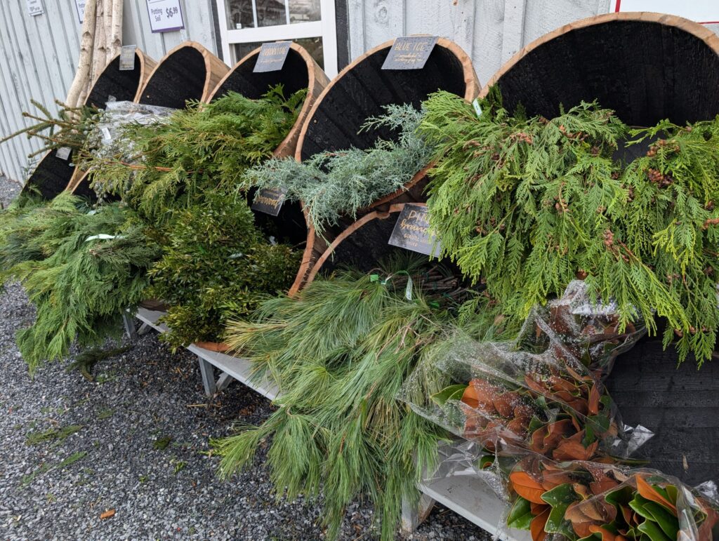 Briar Rose Greenhouse Fall 14