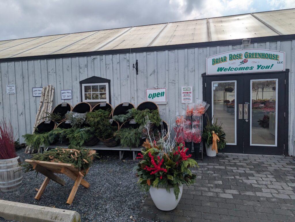 Briar Rose Greenhouse Fall 9